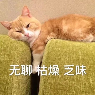 DƬ